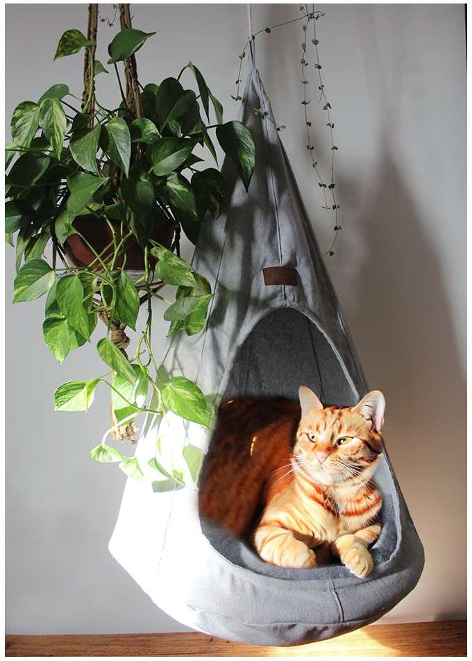 Cabana Up para Gatos - Tam. Único