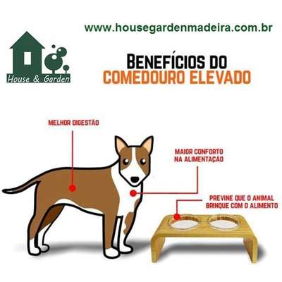 Comedouro Madeira com Bowl em Inox Modelo 2