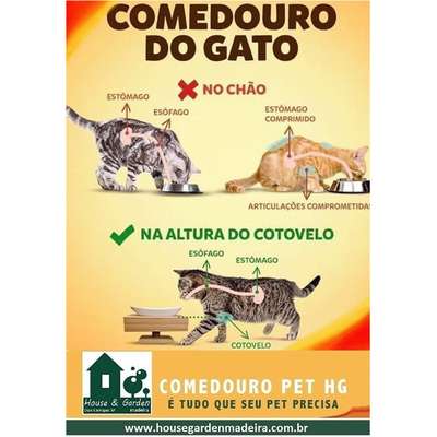 Comedouro Madeira com Bowl em Inox Modelo 2