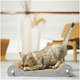 Brinquedo Arranhador Lounge para Gatos
