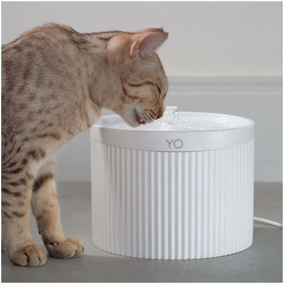 Fonte Bebedouro YO Branco - Bivolt