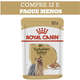 Ração Royal Canin Sachê Breed Health Nutrition Adult Wet para Yorkshire Terrier