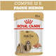 Ração Royal Canin Sachê Breed Health Nutrition para Cães Adultos Shih Tzu