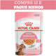 Ração Úmida Royal Canin Sachê Jelly Kitten Sterilised para Gatos Filhotes Castrados de até 12 meses