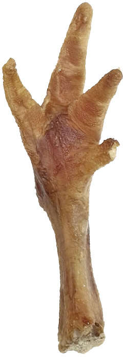 Petisco Prediletta Pet para Cães Pé de Frango - 7 Unidades