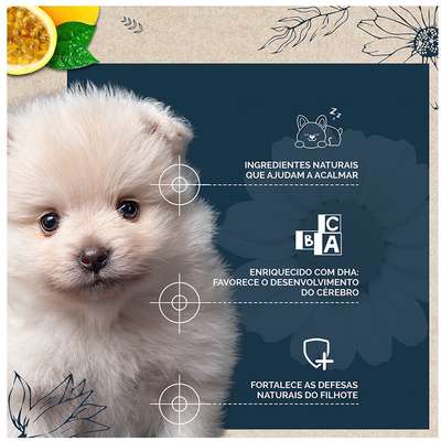 Ração Seca Snow Dog Flores Calmante para Cães Filhotes Porte Pequeno