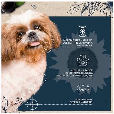 Ração Seca Snow Dog Flores Longevidade para Cães Adultos Porte Pequeno