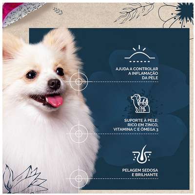Ração Seca Snow Dog Flores Cuidado da Pele para Cães Adultos Porte Pequeno