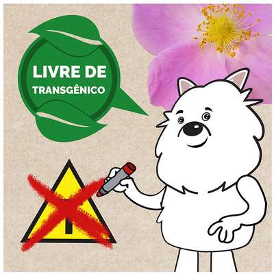 Ração Seca Snow Dog Flores Cuidado da Pele para Cães Adultos Porte Pequeno