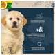 Ração Seca Snow Dog Flores Calmante para Cães Filhotes Porte Médio e Grande