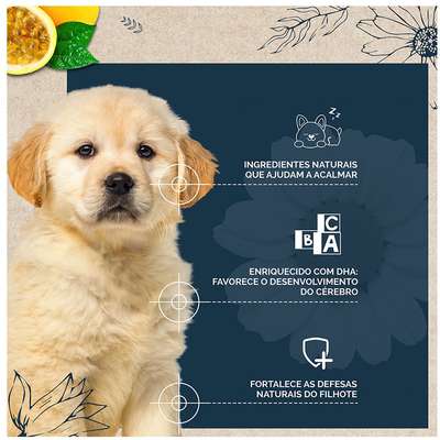 Ração Seca Snow Dog Flores Calmante para Cães Filhotes Porte Médio e Grande