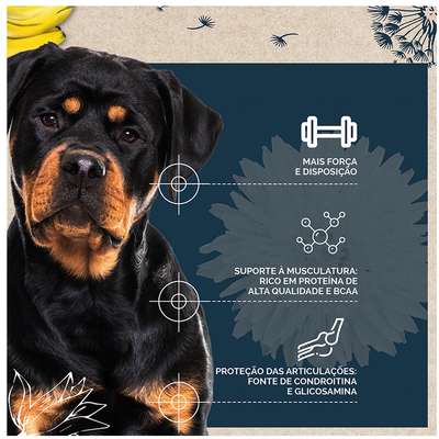 Ração Seca Snow Dog Flores Power para Cães Adultos Porte Médio e Grande