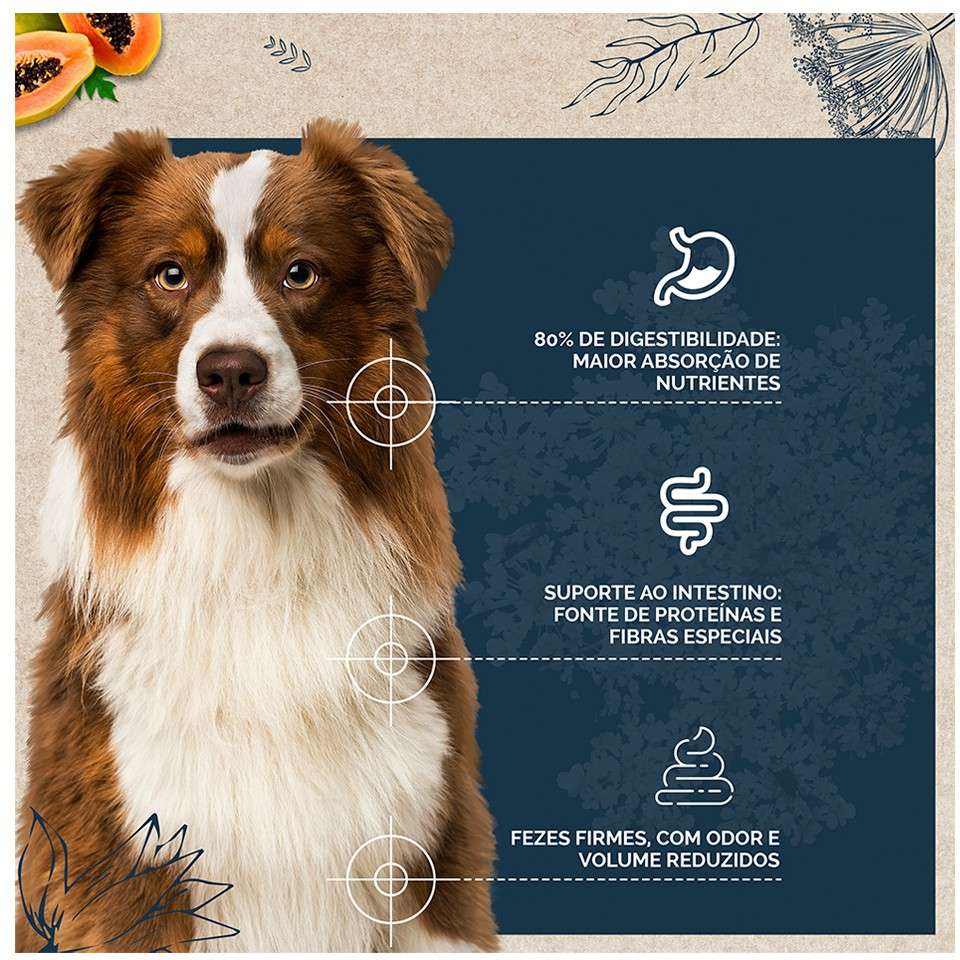 Ração Seca Snow Dog Fácil Digestão para Cães Adultos Porte Médio e Grande - 20Kg