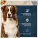 Ração Seca Snow Dog Fácil Digestão para Cães Adultos Porte Médio e Grande