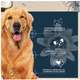 Ração Seca Snow Dog Flores Calmante para Cães Adutos Porte Médio e Grande