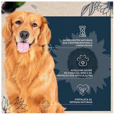 Ração Seca Snow Dog Flores Longevidade para Cães Adultos Porte Médio e Grande