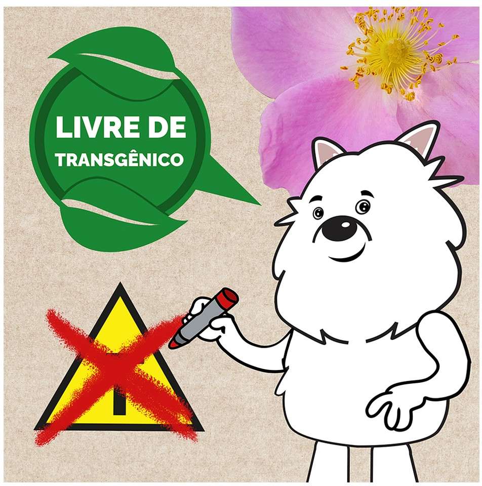 Ração Seca Snow Dog Flores Cuidado da Pele para Cães Adultos Porte Médio e Grande - 20Kg