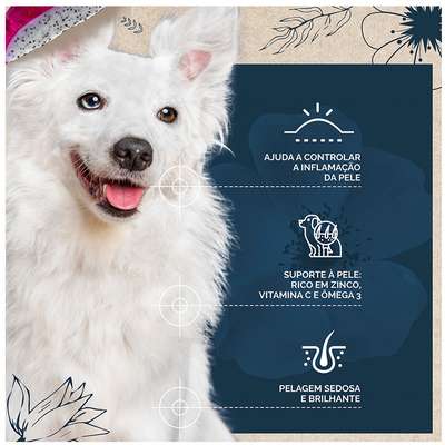 Ração Seca Snow Dog Flores Cuidado da Pele para Cães Adultos Porte Médio e Grande