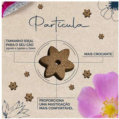 Ração Seca Snow Dog Flores Cuidado da Pele para Cães Adultos Porte Médio e Grande
