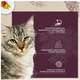 Ração Seca Snow Cat Flores Fácil Sujestão para Gatos Adultos