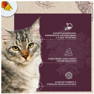Ração Seca Snow Cat Flores Fácil Sujestão para Gatos Adultos