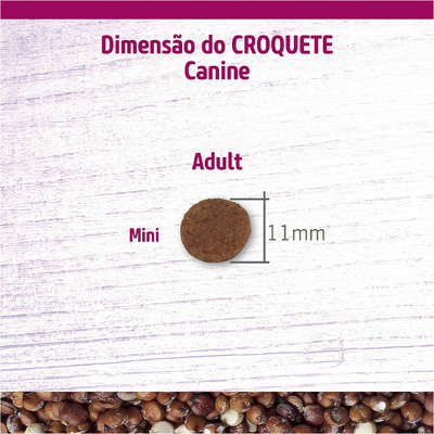 Ração Seca Farmina N&D Quinoa Pele e Pelo para Cães Adultos Porte Mini