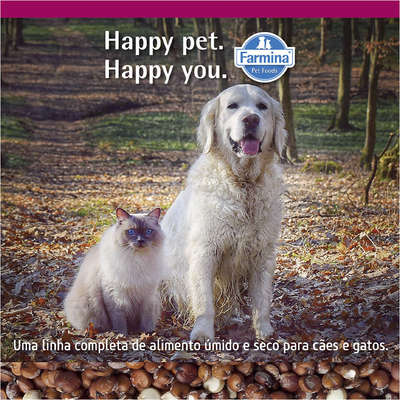 Ração Seca Farmina N&D Quinoa Pele e Pelo para Cães Adultos Porte Mini