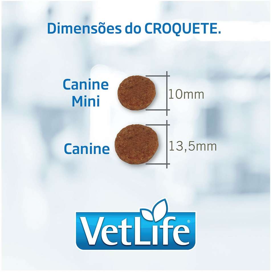 Ração Seca Farmina Vet Life Natural Hypoallergenic Pork e Potato para Gatos Adultos - 2Kg