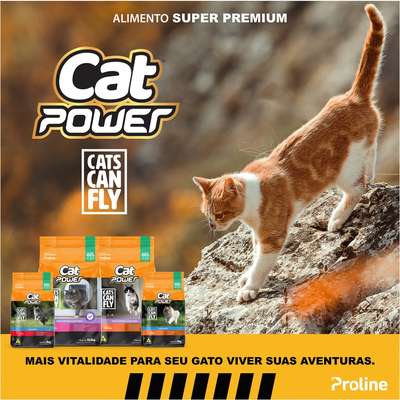 Ração Seca Cat Power Cats Can Fly Frango para Gatos Adultos
