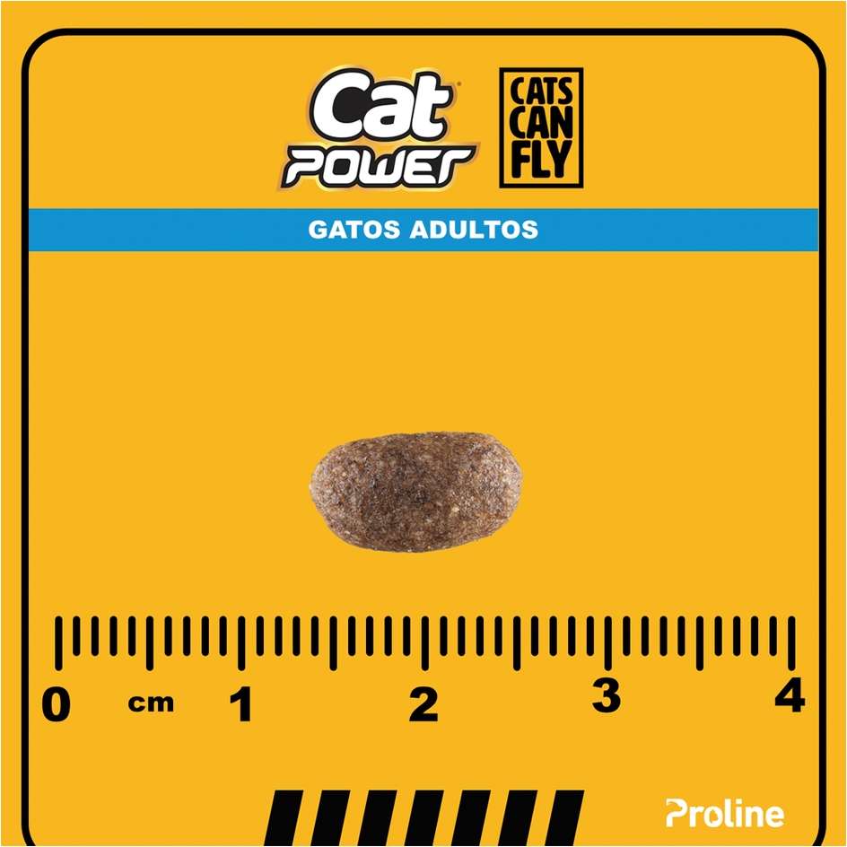 Ração Seca Cat Power Cats Can Fly Frango para Gatos Adultos - 10,1Kg