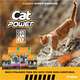 Ração Seca Cat Power Cats Can Fly Carne para Gatos Adultos