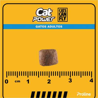 Ração Seca Cat Power Cats Can Fly Carne para Gatos Adultos