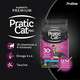 Ração Seca Pratic Cat Pro Carne e Frango para Gatos Filhotes