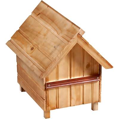 Casinha Mokoi Pinus