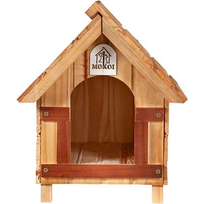 Casinha Mokoi Pinus