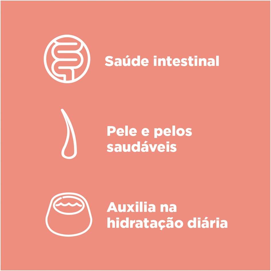 Ração Úmida Quatree Supreme Frango para Cães Adultos - 100 g