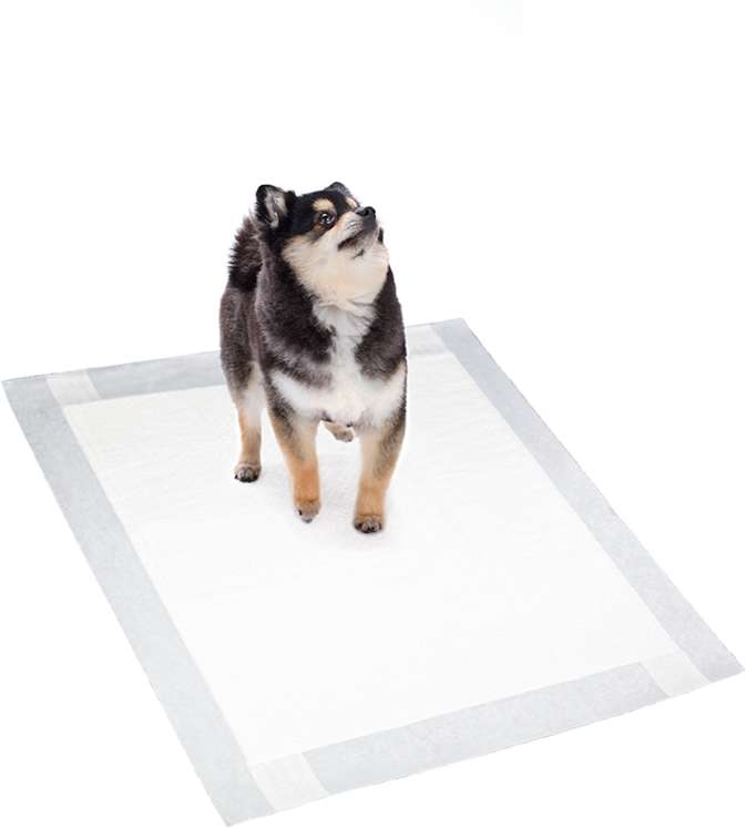 Tapete Higiênico PetLike Good Pad 60 cm - 50 Unidades