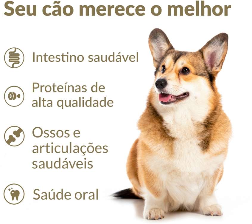 Ração Nutrilus Pro+ Frango & Carne para Cães Sênior de Raças Pequenas - 10,1Kg