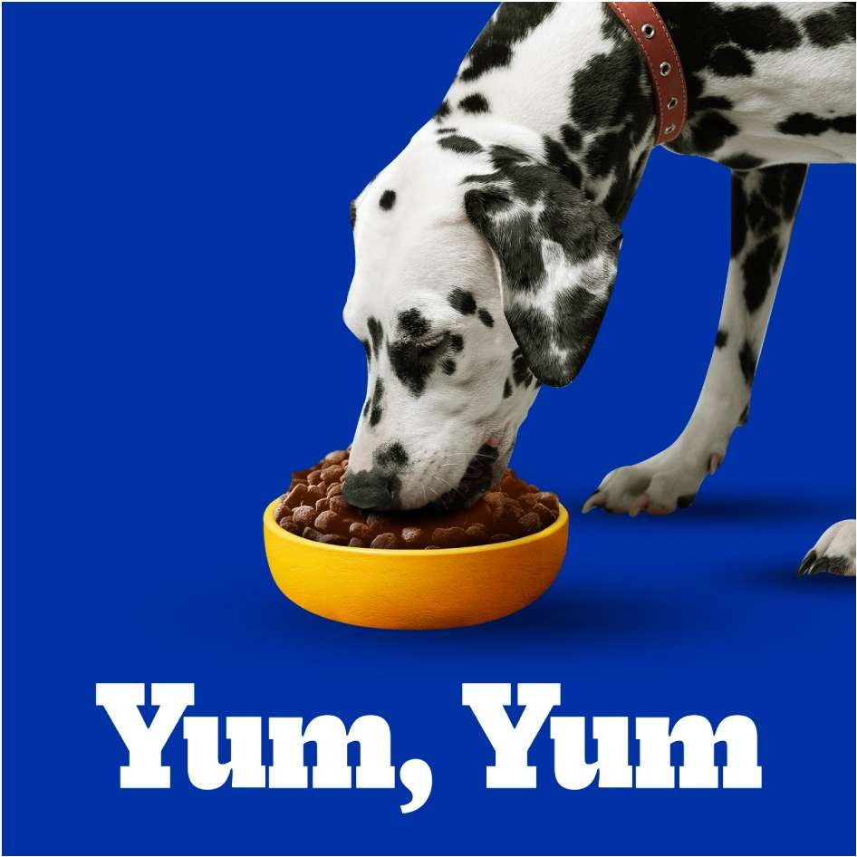 Ração Seca Pedigree Carne, Frango e Cereais para Cães Adultos Raças Médias e Grandes - 15Kg