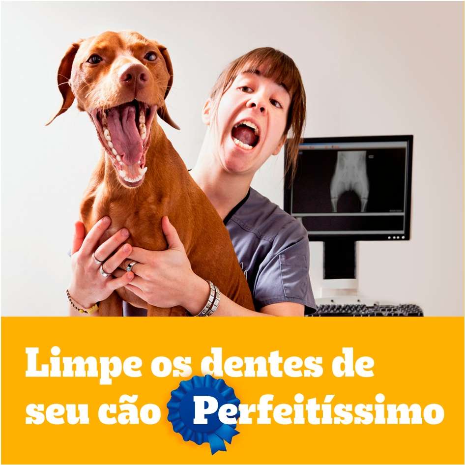 Petisco Pedigree Dentastix para Cães Adultos Porte Pequeno Sabor Carne - 7 Unidades