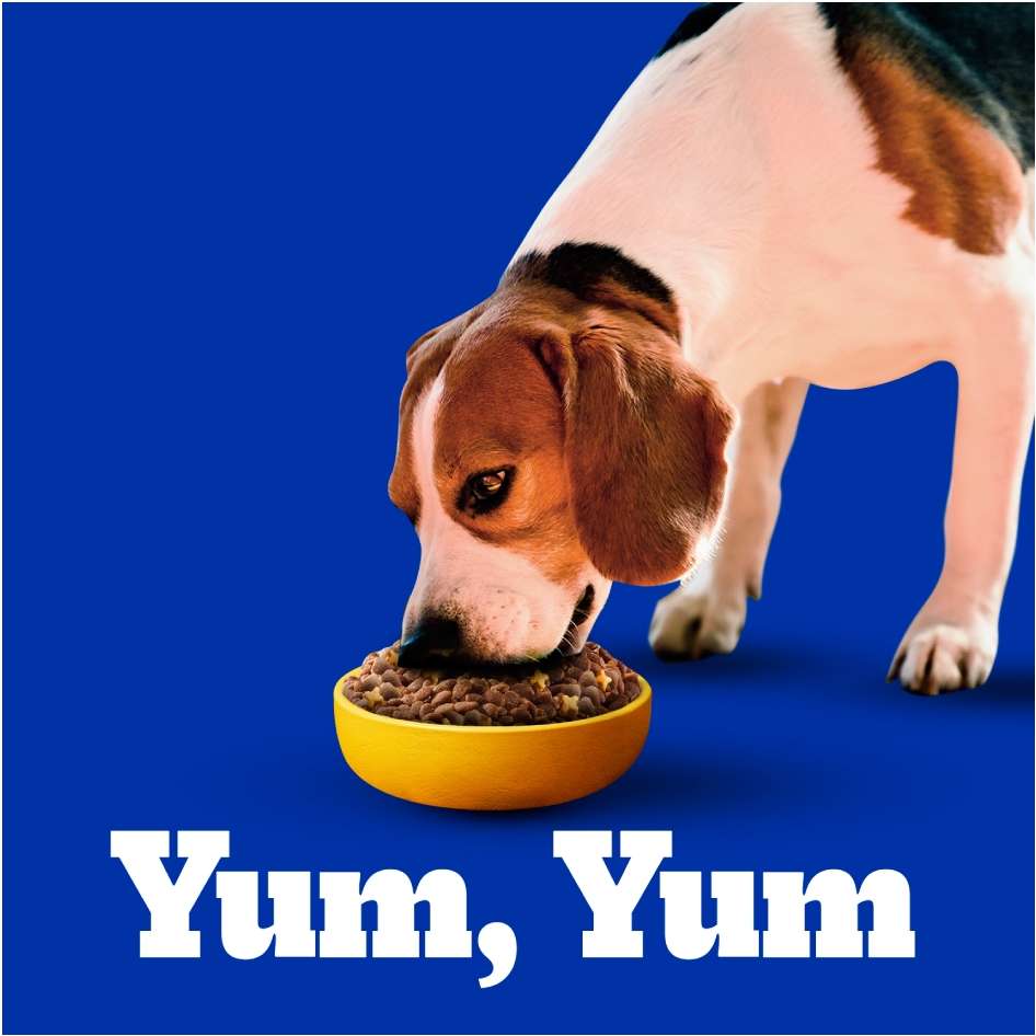 Ração Pedigree Carne e Vegetais Cães Adultos Raças Pequenas e Minis - 15Kg