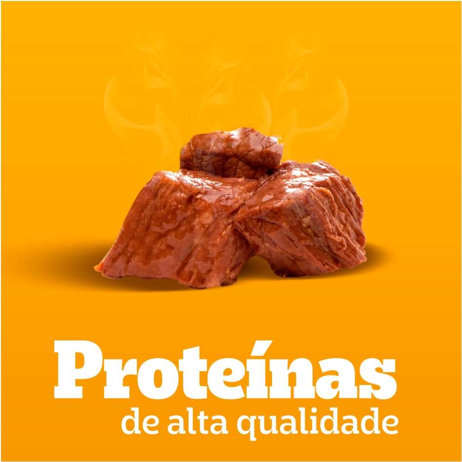 Ração Úmida Pedigree Sachê Carne ao Molho para Cães Adultos - 100 g