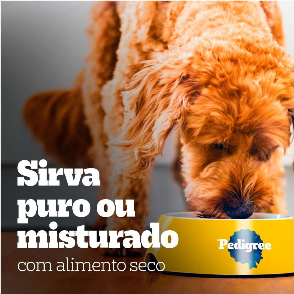 Ração Úmida Pedigree Sachê Carne ao Molho para Cães Filhotes - 100 g