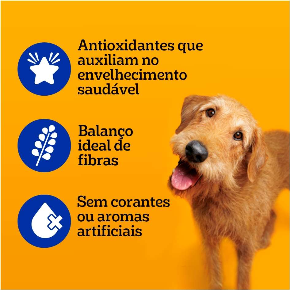 Ração Úmida Pedigree Sachê Carne ao Molho para Cães Sênior 7 + Anos - 100 g