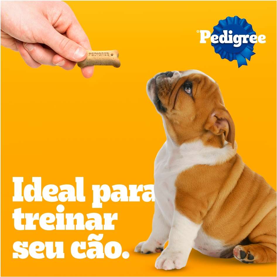 Biscoito Pedigree Biscrok para Cães Filhotes - 300g