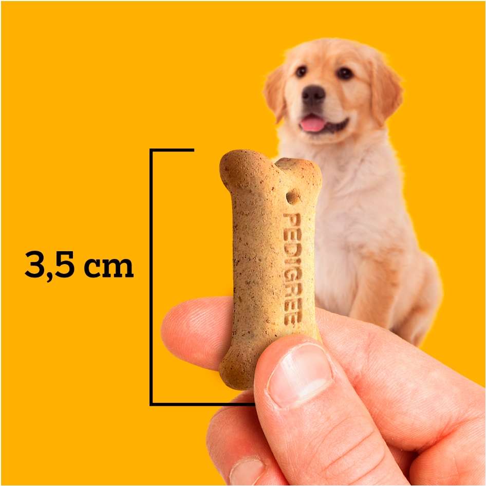 Biscoito Pedigree Biscrok para Cães Filhotes - 300g