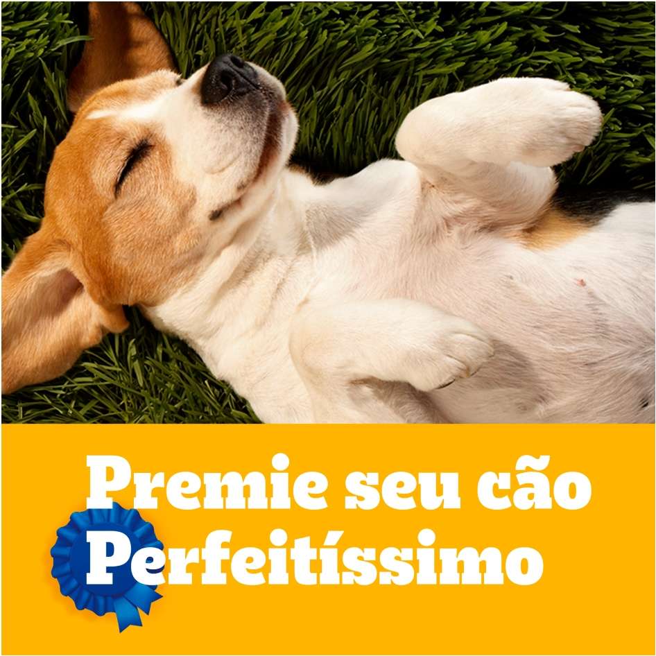 Biscoito Pedigree Biscrok para Cães Filhotes - 300g