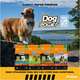 Ração Seca Dog Power Dogs Can Fly Frango e Arroz para Cães Filhotes