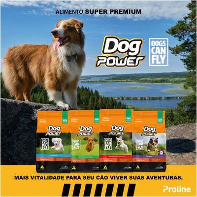 Ração Seca Dog Power Dogs Can Fly Frango e Arroz para Cães Filhotes