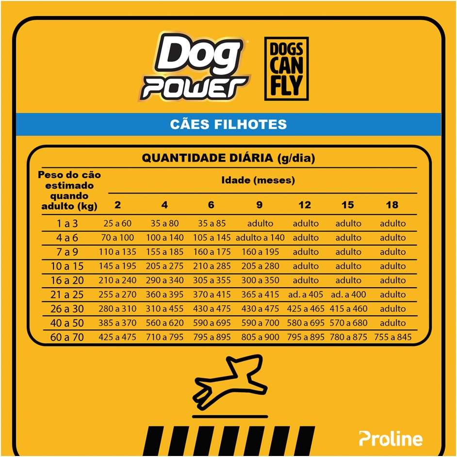 Ração Seca Dog Power Frango e Arroz para Cães Filhotes - 20Kg